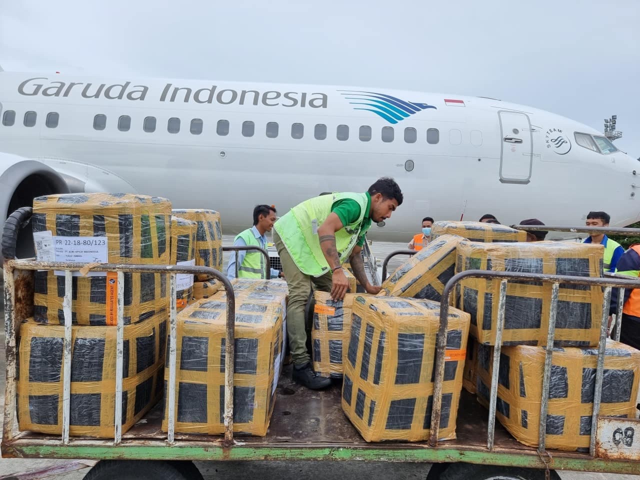 Operasional kargo PAPUA JAYA TRANS — galeri 2