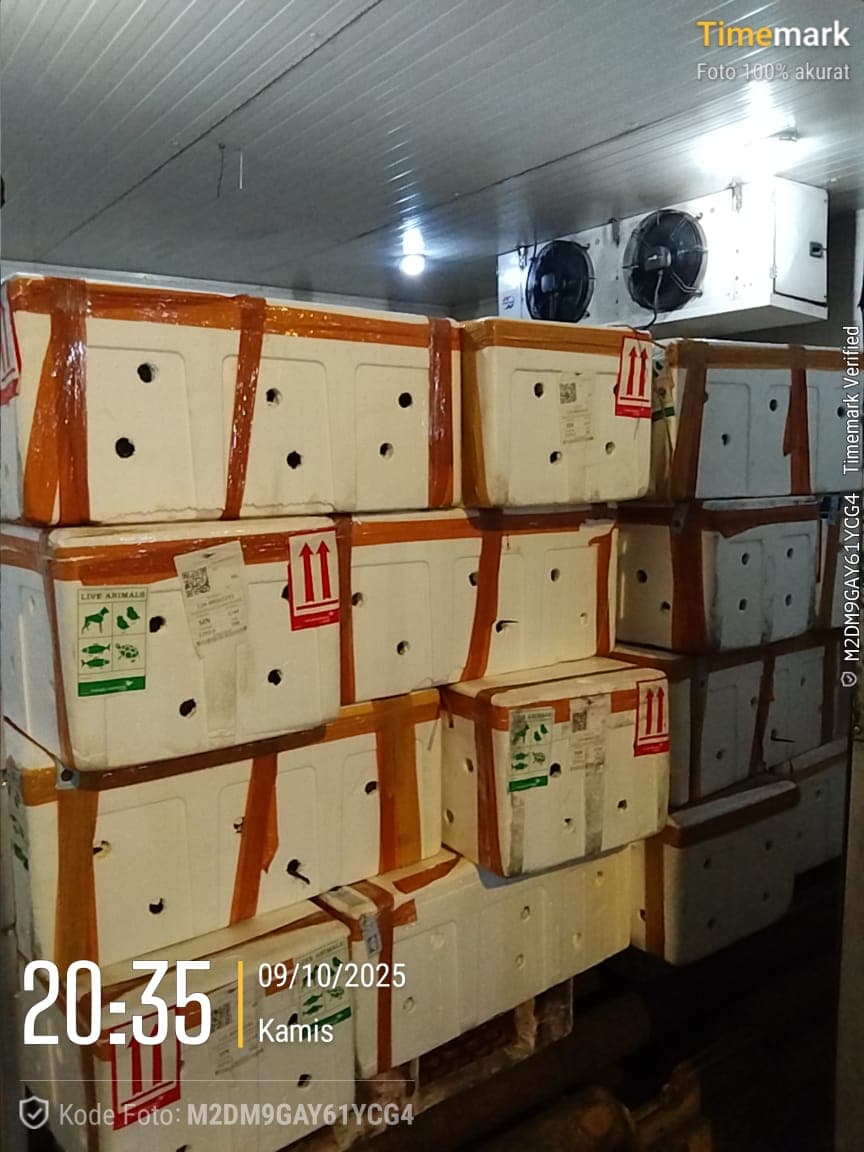 Cold Storage Ekspor